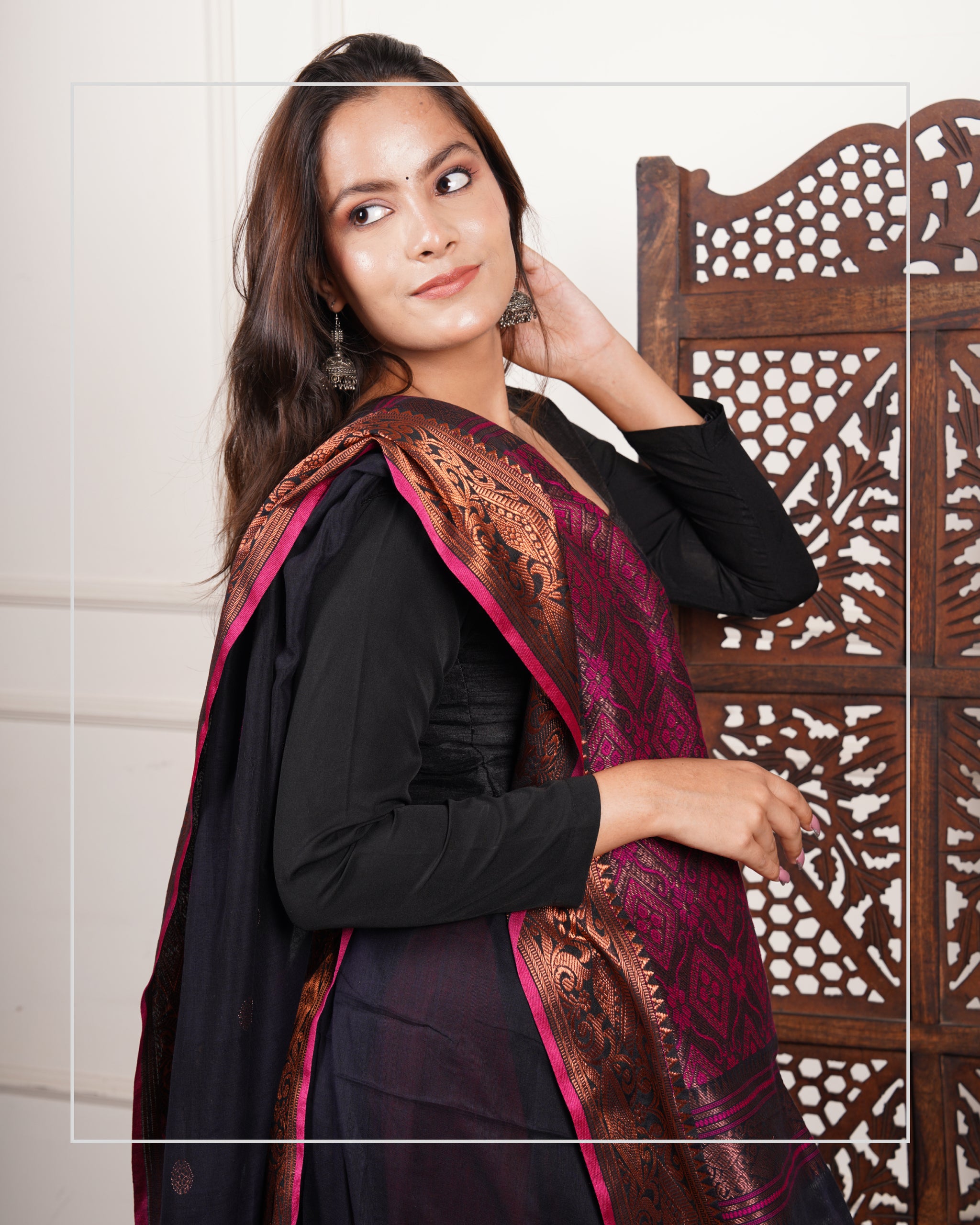 Neelanjana – Handloom Mercerized Cotton Banarasi Saree